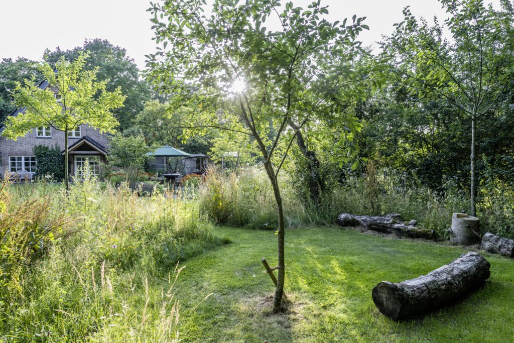 Aussenkueche Abendsitzplatz wilde Ecke Obstwiese Gaerten des Jahres