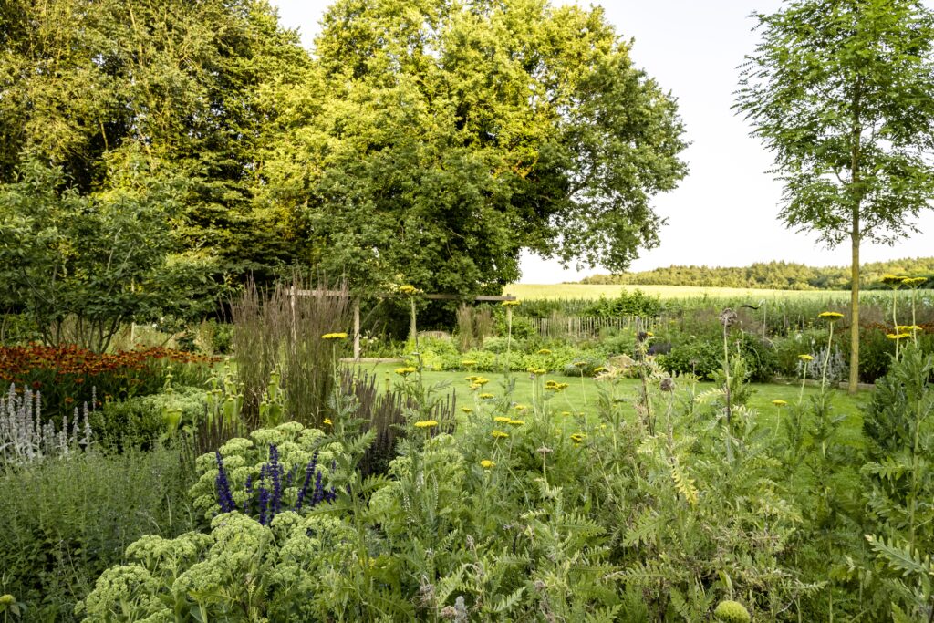 Robinie Rasen Beete Granitborde Pergola Teich Aussicht geliehene Landschaft Gaerten des Jahres